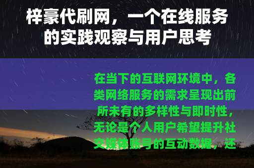 梓豪代刷网，一个在线服务的实践观察与用户思考