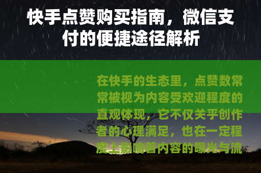 快手点赞购买指南，微信支付的便捷途径解析