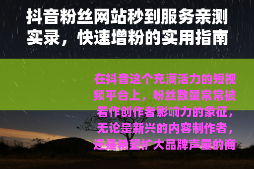 抖音粉丝网站秒到服务亲测实录，快速增粉的实用指南与个人感悟