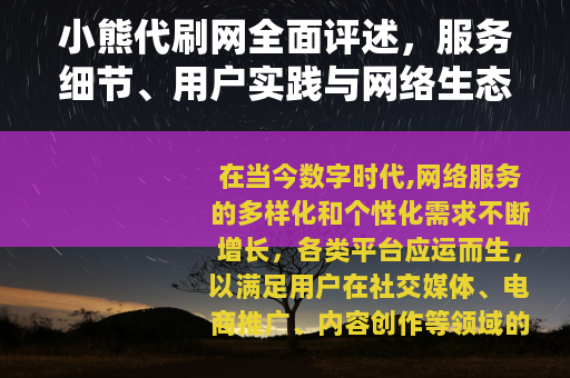 小熊代刷网全面评述，服务细节、用户实践与网络生态影响分析
