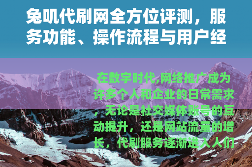 兔叽代刷网全方位评测，服务功能、操作流程与用户经验分享