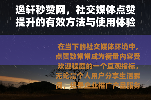 逸轩秒赞网，社交媒体点赞提升的有效方法与使用体验分享