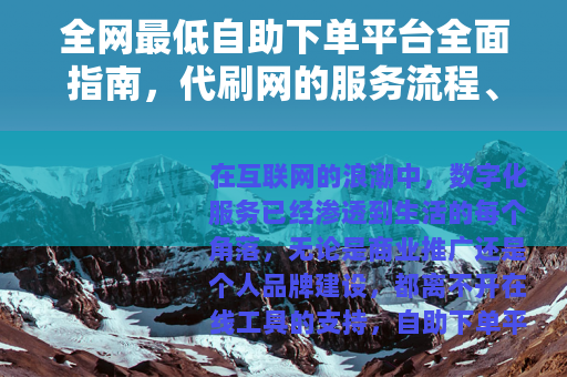 全网最低自助下单平台全面指南，代刷网的服务流程、优势与选择技巧