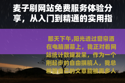 麦子刷网站免费服务体验分享，从入门到精通的实用指南