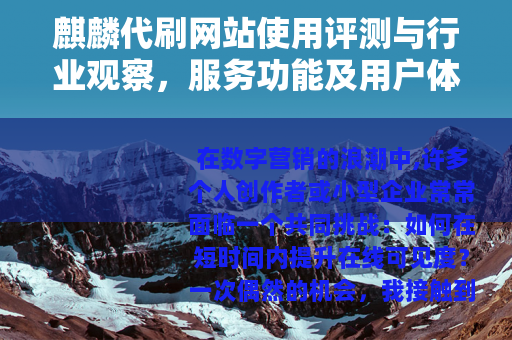 麒麟代刷网站使用评测与行业观察，服务功能及用户体验深度分析