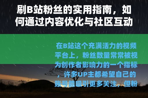 刷B站粉丝的实用指南，如何通过内容优化与社区互动实现自然增长