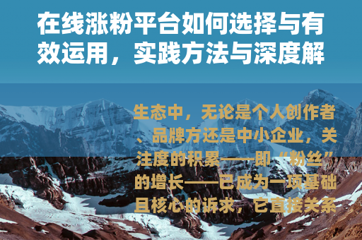 在线涨粉平台如何选择与有效运用，实践方法与深度解析