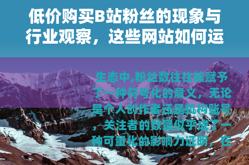 低价购买B站粉丝的现象与行业观察，这些网站如何运作？