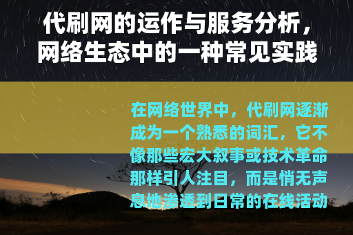 代刷网的运作与服务分析，网络生态中的一种常见实践