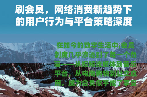 刷会员，网络消费新趋势下的用户行为与平台策略深度解析