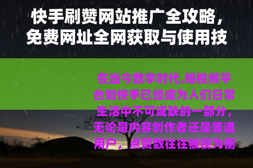 快手刷赞网站推广全攻略，免费网址全网获取与使用技巧解析