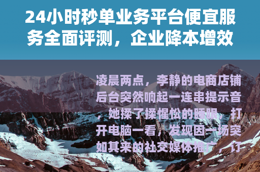 24小时秒单业务平台便宜服务全面评测，企业降本增效的实际选择