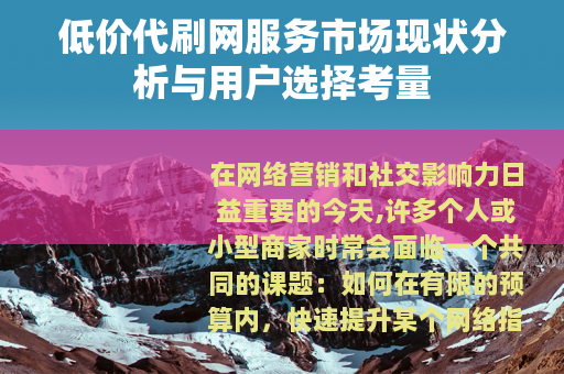 低价代刷网服务市场现状分析与用户选择考量