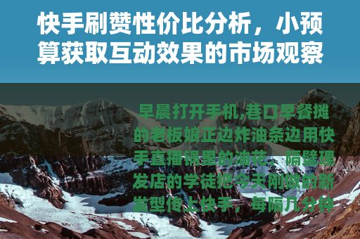 快手刷赞性价比分析，小预算获取互动效果的市场观察