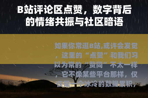 B站评论区点赞，数字背后的情绪共振与社区暗语