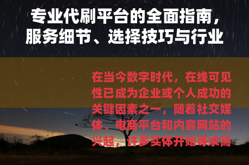 专业代刷平台的全面指南，服务细节、选择技巧与行业应用实践