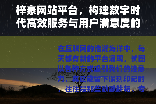 梓豪网站平台，构建数字时代高效服务与用户满意度的关键要素