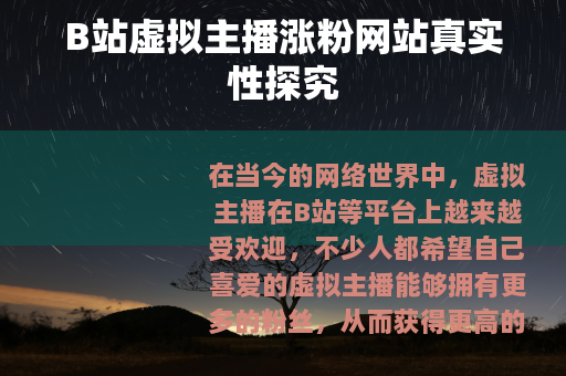B站虚拟主播涨粉网站真实性探究