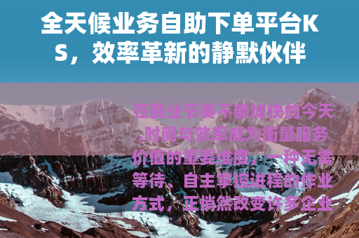 全天候业务自助下单平台KS，效率革新的静默伙伴