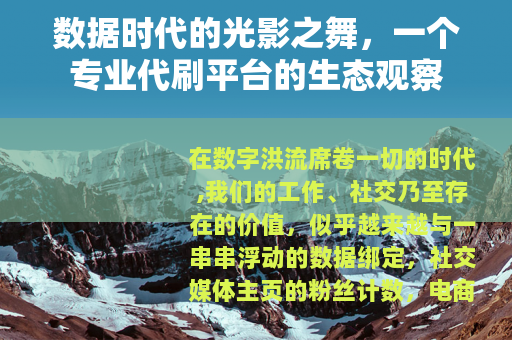 数据时代的光影之舞，一个专业代刷平台的生态观察
