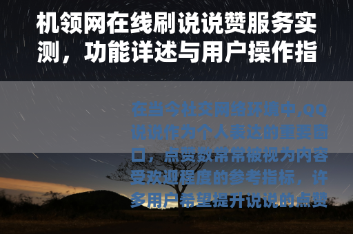 机领网在线刷说说赞服务实测，功能详述与用户操作指南分享
