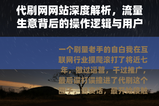 代刷网网站深度解析，流量生意背后的操作逻辑与用户真实体验