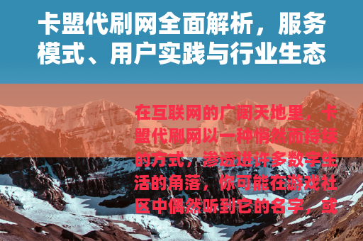 卡盟代刷网全面解析，服务模式、用户实践与行业生态观察