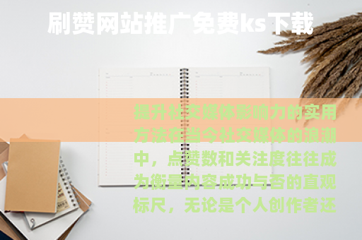 刷赞网站推广免费ks下载