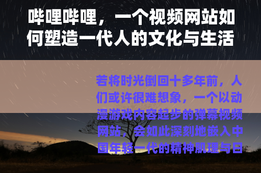 哔哩哔哩，一个视频网站如何塑造一代人的文化与生活