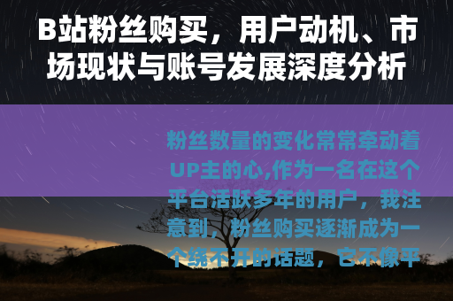 B站粉丝购买，用户动机、市场现状与账号发展深度分析