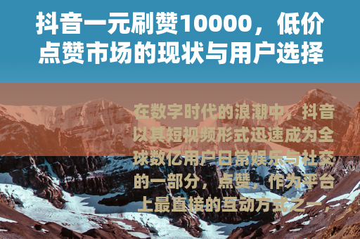 抖音一元刷赞10000，低价点赞市场的现状与用户选择分析