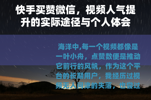 快手买赞微信，视频人气提升的实际途径与个人体会