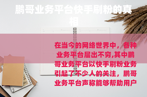 鹏哥业务平台快手刷粉的真相