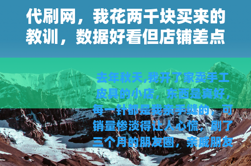 代刷网，我花两千块买来的教训，数据好看但店铺差点废了