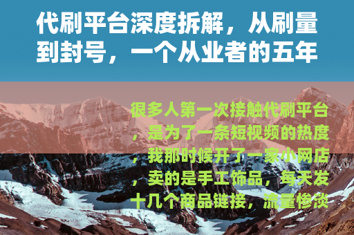 代刷平台深度拆解，从刷量到封号，一个从业者的五年自述