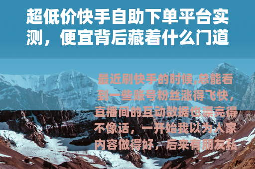 超低价快手自助下单平台实测，便宜背后藏着什么门道？