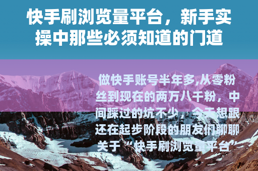 快手刷浏览量平台，新手实操中那些必须知道的门道