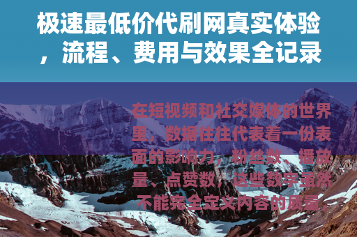 极速最低价代刷网真实体验，流程、费用与效果全记录