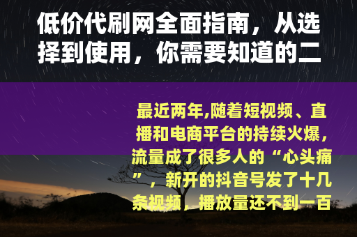 低价代刷网全面指南，从选择到使用，你需要知道的二十个要点