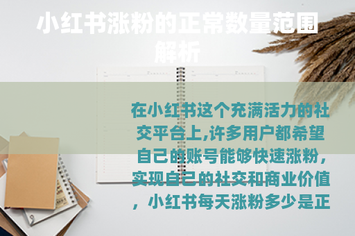 小红书涨粉的正常数量范围解析