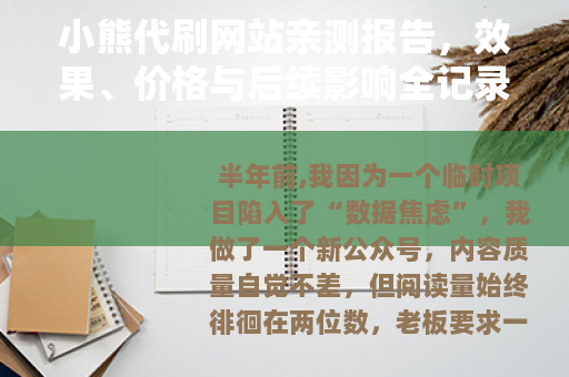 小熊代刷网站亲测报告，效果、价格与后续影响全记录