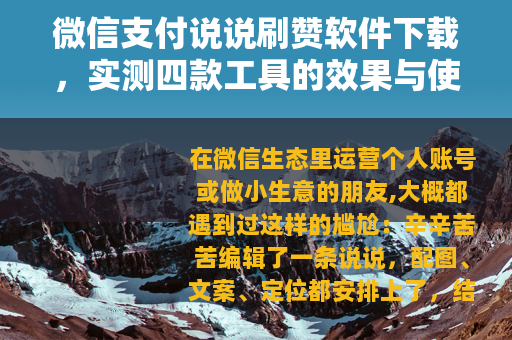 微信支付说说刷赞软件下载，实测四款工具的效果与使用心得分享