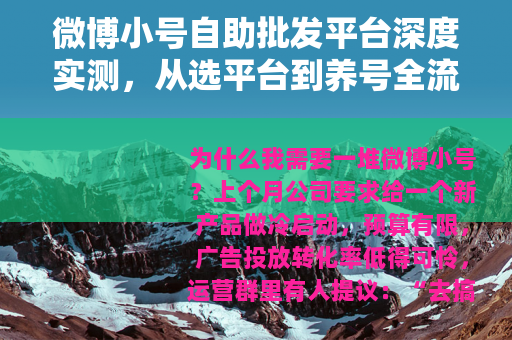 微博小号自助批发平台深度实测,从选平台到养号全流程指南 微博小号自助批发平台深度实测,从选平台到养号全流程指南