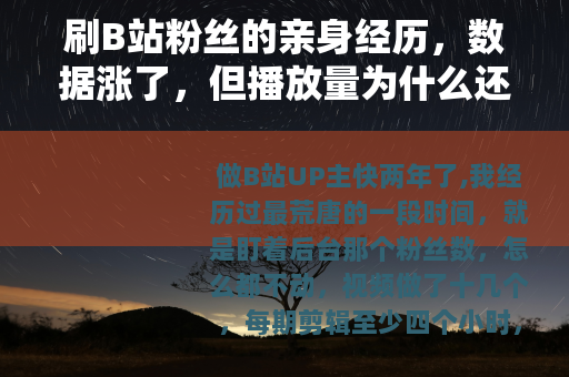 刷B站粉丝的亲身经历，数据涨了，但播放量为什么还是两位数？