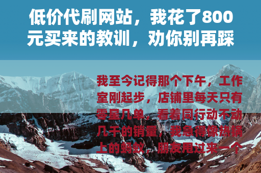 低价代刷网站，我花了800元买来的教训，劝你别再踩坑