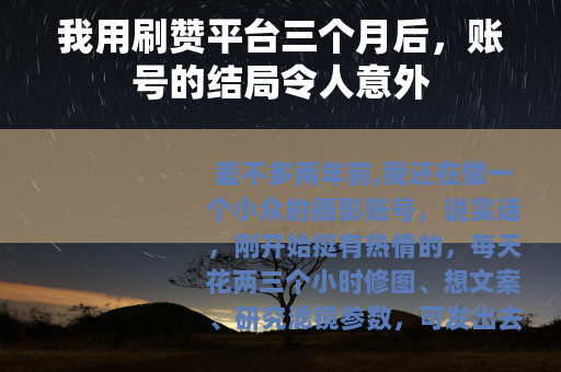 我用刷赞平台三个月后，账号的结局令人意外