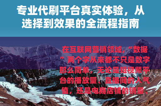 专业代刷平台真实体验，从选择到效果的全流程指南