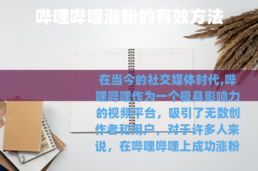 哔哩哔哩涨粉的有效方法 哔哩哔哩涨粉的有效方法