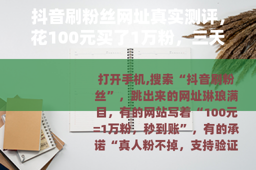 抖音刷粉丝网址真实测评，花100元买了1万粉，三天后还剩多少？