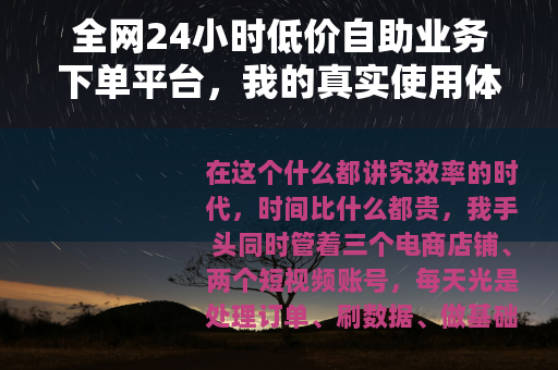 全网24小时低价自助业务下单平台,我的真实使用体验与深度分析 全网24小时低价自助业务下单平台,我的真实使用体验与深度分析